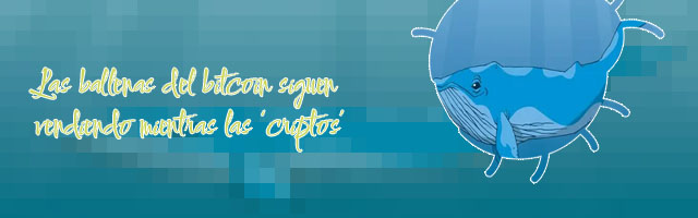 Ballenas en criptomonedas